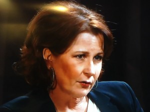 Anna Hedenmo i SVT